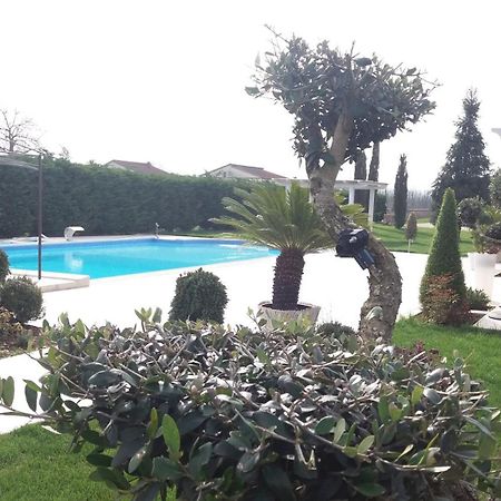 Вилла Agriturismo Sant' Isidoro Ананьи Экстерьер фото